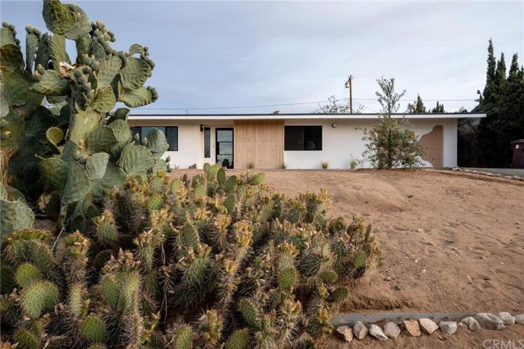 Joshua Tree - Le Tout Petit W Hot Tub Bagian luar foto
